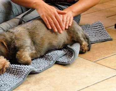 Shiatsu